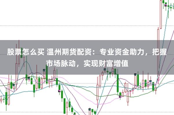 股票怎么买 温州期货配资:专业资金助力,把握市场脉动,实现财富增值