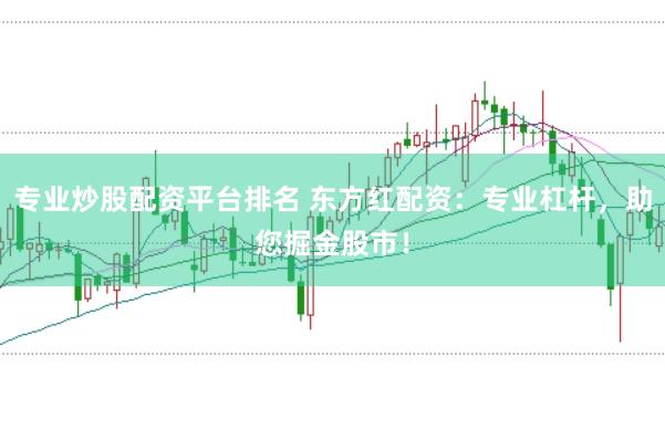 专业炒股配资平台排名 东方红配资:专业杠杆,助您掘金股市!